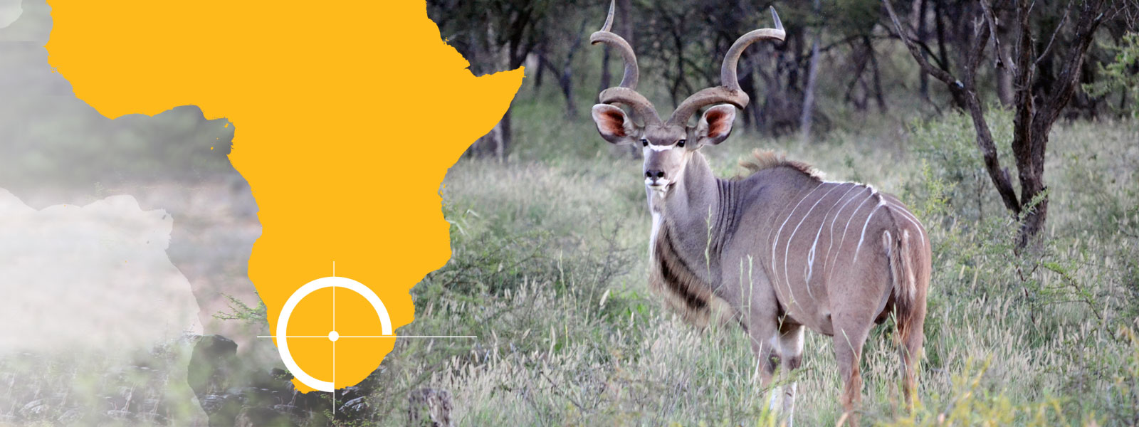 Classic South African hunting safaris Classic South African hunting safaris